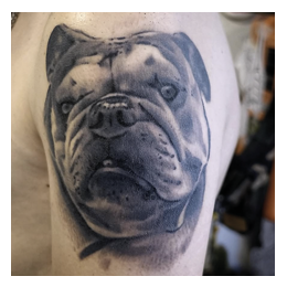 Gaser tattoo bulldog